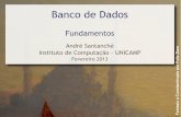 André Santanchè - INSTITUTO DE COMPUTAÇÃOsantanch/teaching/db/2013-1/slides/bd01... · segurança e controle de acesso. Banco de Dados Compartilhamento de Dados Programa de ...