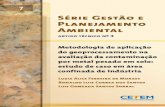 Série Gestão e Planejamento Ambientalmineralis.cetem.gov.br/bitstream/cetem/385/1/sgpa-7.pdf · de uma indústria, usando a construção de modelos numéricos de terreno ( mnt).