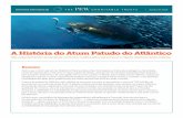 Paolo Oliveira/Alamy A História do Atum Patudo do Atlântico · Estes atuns atingem a maturidade sexual em apenas dois a três anos e, nesse espaço de tempo, crescem de um tamanho