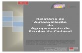 Relatório de Autoavaliação do Agrupamento de Escolas do ...agrupcadaval.com/aec/images/agrupamento/relatorio_caf.pdf · A estrutura de avaliação engloba dois domínios - Meios
