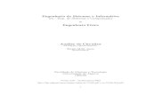 Engenharia de Sistemas e Inform atica (ex - Eng. de ...w3.ualg.pt/~sjesus/aulas/2003/ac/ac-V3.0b.pdf · Engenharia de Sistemas e Inform atica (ex - Eng. de Sistemas e Computa˘c~ao)