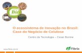 O ecossistema de Inovação no Brasil: Case do Negócio de ... 10 - Innovation in... · Coníferas do Norte Eucalipto 27% Coníferas 18% Outras Folhosas 23% 31% 2012 MERCADO GLORAL