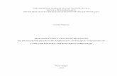 UNIVERSIDADE FEDERAL DO RIO GRANDE DO SUL · CAPÍTULO IV – ARTIGO 03: Gestão de requisitos ambientais no processo ... 2002) e da gestão do processo de desenvolvimento de produtos
