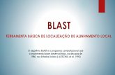 BLAST - cbeb2020.orgcbeb2020.org/Bioinformatica/ProgramaBlast.pdf · Secretário-Executivo: Maria da Graça Simões Pires Negrão Membros: Arthur da Silva Mariante Maria de Fátima