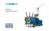 Reunião Pública 2017 - ri.weg.net · Geração, Transmissão e Distribuição Tintas e Vernizes de Energia (GTD) Mercado Externo Mercado Interno Motores para uso doméstico 57%