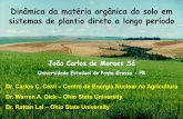 Dinâmica da matéria orgânica do solo em sistemas …brasil.ipni.net/ipniweb/region/brasil.nsf...Dinâmica da matéria orgânica do solo em sistemas de plantio direto a longo período