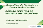 Agricultura de Precisão e a Produção Sustentável CÂMARA ... · 2003 - Piloto automático para tratores 2004 –Primeiro ConBAP 2005 –Mapa –Cria o DEPTA/CAPTA 2006 –Identificação