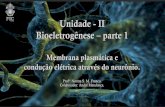 Membrana plasmática vista pelo microscópio eletrônico.bio-neuro-psicologia.usuarios.rdc.puc-rio.br/assets/02... · Title: Bioeletrogênese – parte 1 Funções da membrana plasmática