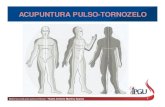 ACUPUNTURA PULSO-TORNOZELO - Portal Unisaúde Pulso Tornozelo.pdf · DIVISÃO DAS ÁREAS DO CORPO NA APT ... zigomática e maxilar da face, dentes molares, ATM, ... que passa pela