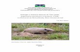 Ecologia e História Natural do Tatu -peba, · Ecologia e História Natural do Tatu -peba, Euphractus sexcinctus (Linnaeus, 1758), no Pantanal da Nhecolândia, Mato Grosso do Sul