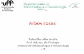 Arbovirosesvirologia.sites.uff.br/wp-content/uploads/sites/236/2017/11/arbovi... · •A primeira epidemia do vírus da zika surgiu na ... (artrogripose) - Hidrocefalia ... em referência