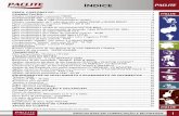 ÍNDICE PACLITEpaclite-equip.com/pdf/PACLITE_2012_PORTUGUESE.pdf · Cilindro compactador de 2 rolos para solo ... Conversores e gerador de alta frequência FUZ MONO E ... Agulhas