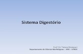 Sistema Digestório³rio.pdf · O início da degradação do alimento ocorre na ... Por causa do atrito do alimento, a cavidade ... onde o bolo alimentar é macerado e parcialmente