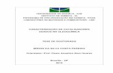 CARACTERIZAÇÃO DE CATALISADORES USADOS NA …repositorio.unb.br/bitstream/10482/8924/1/2010_MiriandaSilvaCosta... · PROÁLCOOL Programa Brasileiro de Álcool PROBIODIESEL Programa