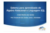 Sistema para aprendizado de Álgebra Relacional e Linguagem …campeche.inf.furb.br/tccs/2010-II/TCC2010-2-07-AP-AndreMSantos.pdf · Sistema para aprendizado de Álgebra Relacional