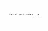 Kalecki: Investimento e ciclo - Instituto de Economia - UFRJ · •O desvio do investimento em relação à depreciação dará o investimento líquido :) ' 1)( ' 1 ... ele representa