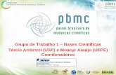 pbmc - FAPESP :: Fundação de Amparo à Pesquisa do ... · •Em 24.11.2009 os Ministros Carlos Minc (MMA) e Sergio Rezende (MCT) lançaram oficialmente o PBMC; ... Brasil e aAmérica