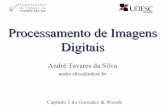 Processamento de Imagens Digitais - UDESC · Processamento de Imagens Digitais André Tavares da Silva andre.silva@udesc.br Capítulo 2 do Gonzalez & Woods. Imagem Binária f :R2