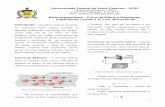 Universidade Federal de Santa Catarina – UFSC Centro de ...preufsc.blumenau.ufsc.br/files/2018/10/Eletromagnetismo-I.pdf · ... denominadas armaduras ou placas. Entre as placas