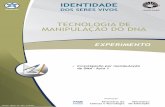 TECNOLOGIA DE MANIPULAÇÃO DO DNA - Plataforma Anísio …ambiente.educacao.ba.gov.br/conteudos/conteudos-digitais/... · 2012-01-25 · de trabalho da aula 1 ... através da técnica