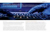 RESUMO EXECUTIVO: O LADO OBSCURO DA CRIPTOGRAFIA · criptografada a fim de alcançar dois objetivos principais: • Dificultar a interceptação de criminosos cibernéticos em ...