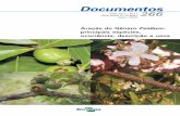 Araçás do Gênero Psidium - Infoteca-e: Página inicial · que concerne às opções de espécies e seus usos, ... como salientar aspectos relativos ao potencial de aproveitamento