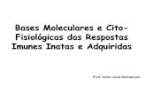 Bases Moleculares e Cito- Fisiológicas das Respostas ... · e de Cels. B 3) T H 17 –citocinas pró-inflamatórias, ativação de Neutrófilos 4) T reg –inhibição das respostas