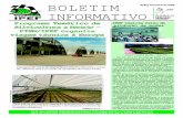 BOLETIM 4(40) AGOSTO/1998 INFORMATIVO LCF - ipef.br · Página 4 e 5. AGOSTO/98 2 Expediente BOLETIM INFORMATIVO ... madeira na construção civil TECNOMAD Consultoria e Serviços