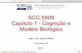 SCC-5809 Capítulo 1 - Cognição e Modelo Biológicowiki.icmc.usp.br/images/6/66/SCC5809Cap1.pdf · Sistema Nervoso 3 Hebb e Ramón y Cajal A Hipótese de Hebb ... 1943: McCulloch