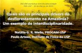 Quais são os principais drivers do desflorestamento na ... · Quais são os principais drivers do desflorestamento na Amazônia? Um exemplo de interdisciplinaridade. Natália G.