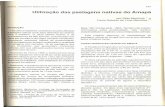 Utilização das pastagens nativas do Amapá - core.ac.uk · Utilização das pastagens nativas do Amapá ... Leite et ai., 1979; Boaventura & Narita, 1974; Brasil, 1979). 1. Floresta