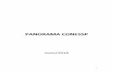 PANORAMA CONESSPconessp.org.br/wp-content/uploads/2018/06/Panorama-CONESSP-16-maio...Número de Prestadores ativos (credenciados) ... Sudeste Minas Gerais IPSEMG 2 São Paulo IAMSPE