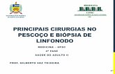 PRINCIPAIS CIRURGIAS NO PESCOÇO E BIÓPSIA DE LINFONODOlabtoce.ufsc.br/files/2017/08/acesso-cirurgico-pescoço-2017... · LINFONODO 1 MEDICINA – UFSC 4A FASE SAÚDE DO ADULTO II