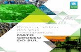 Mt Goss S - dourados.ms.gov.br · Mais que paisagens bonitas, solo fértil e clima excelente, Mato Grosso do Sul tem, hoje, a infraestrutura e competitividade ideais para a instalação