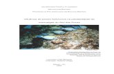 Influência de peixes herbívoros na palatabilidade de ...downloads.brasilmergulho.com.br/Biologia Marinha/Influencia_peixes... · freqüentes distúrbios, originados por fatores
