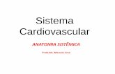 Sistema Cardiovascular - profmarcelolima.webnode.com.br · CONSTITUIÇAÕ DO SISTEMA CARDIOVASCULAR: •O sistema cardiovascular é constituído pelos seguintes elementos: sangue,