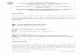 USINA DE TRATAMENTO TÉRMICO DE RSU - …meioambiente.mg.gov.br/.../tr-pca-tratamento-termico-versao-2.0.pdf · a) Justificativa técnica da concepção de tratamento proposta. b)
