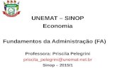 Teoria Geral da Administração - UNEMAT – Campus Sinop | Site …sinop.unemat.br/site_antigo/prof/foto_p_downloads/fot... · PPT file · Web view2015-02-27 · 3.4.3 Visão microscópica