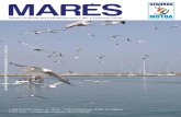 Revista da Mútua dos Pescadores para o Mar e Economia Socialbd-afl.net/Mutua_docs/Mares_71.pdf · início do ano, na Nazaré, ações que caracterizam a postura da ... tração nos