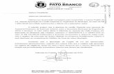 MUNICÍPIO DE PATO BRANCO · diversas limitações além de problemas estruturais e de falta de ... a manutenção do calçamento na Rua João ... Comissão de Orçamento e ...