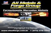 Representante Exclusivo No Brasil Meritum Comex LTDA -F ...steelforge.com.br/wp-content/uploads/2015/03/amfg-brochura.pdf · Quando o seu pedido é feito com AM e FG, nosso objetivo