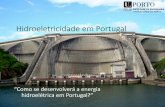 Hidroeletricidade em Portugal - paginas.fe.up.ptprojfeup/submit_15_16/uploads/apresent... · • A sua produção e a sua distribuição são fundamentais para o desenvolvimento das