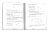 Exercícios e Problemas do Capítulo VII Semelhança de Triângulosnedir/disciplinas-Pagina/Lista8_GE_2017... · 2017-06-02 · A base do primeiro mede 3cm e sua altura 2cm. A base