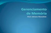Prof. Adriano Maranhão · É o gerenciamento automático de memória, também conhecido como coletores, sendo conhecido em Portugal como reciclagem automática de memória. Este