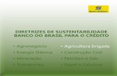 DIRETRIZES DE SUSTENTABILIDADE BANCO DO BRASIL … · milhões (17,5%) estão sob o domínio de infraestruturas de irrigação, garantindo quase a metade (44%) da ... Esses instrumentos