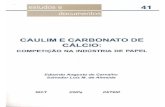 CAULlM E CARBONATO DE CÁLCIO - mineralis.cetem.gov.brmineralis.cetem.gov.br/bitstream/cetem/266/1/sed-41.pdf · o termo caulim é utilizado lanlo para denominar a rocha que contém
