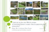 “Aplicação de Wetlands Construídos como tratamento de esgoto” · EVOLUÇÃO DA COLETA E TRATAMENTO DE ESGOTO NO BRASIL (2006-2016) 40 52 32 45 2006 2016 Título do Gráfico