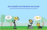 APLICAÇÕES DA ENERGIA NUCLEARsencir.nuclear.ufmg.br/template/palestras/Regina_Carvalho_06_11.pdf · RADIOISÓTOPOS naturais artificiais RADIAÇÃO IONIZANTE. RADIOISÓTOPOS naturais
