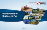 Oportunidades de Negócios no Pará - fundacaoaep.pt · *A diminuição de mais de 96% do valor importado de Portugal no ano de 2013 se deu principalmente devido a aquisição de