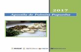 Apostila de Palmito Pupunha - mage.rj.gov.brmage.rj.gov.br/.../2017/11/Apostila-de-Palmito-Pupunha-e-Receitas.pdfdo Pacífico Norte da América do Sul (Equador e Colômbia) e do Caribe